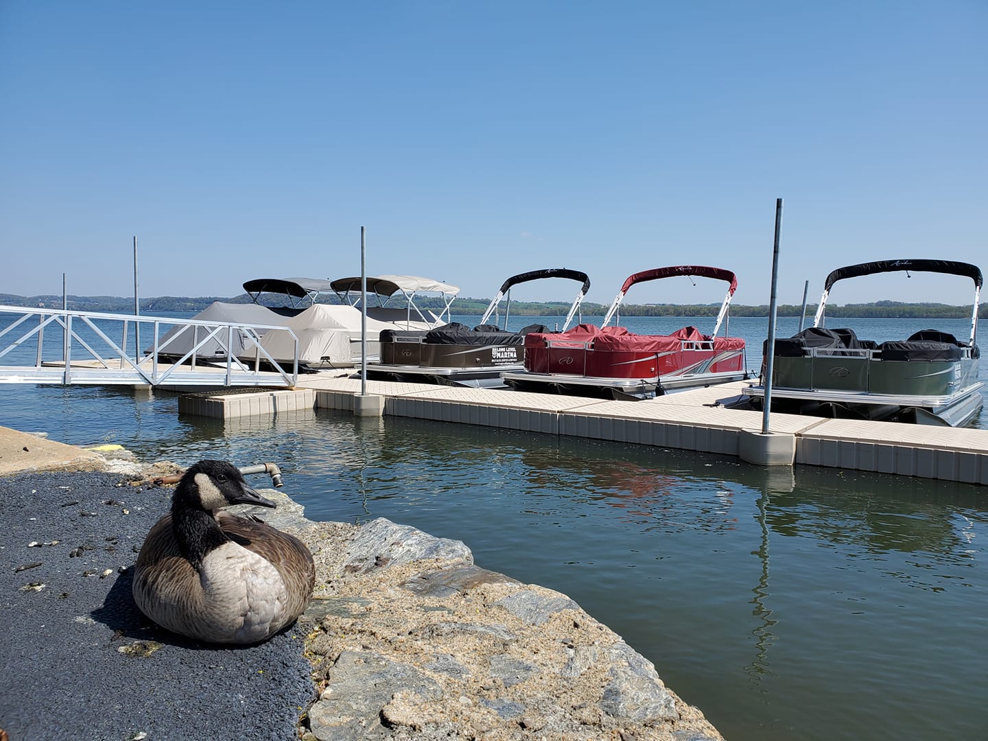 Boat Rentals Long Level Marina Wrightsville Wrightsville, PA (717